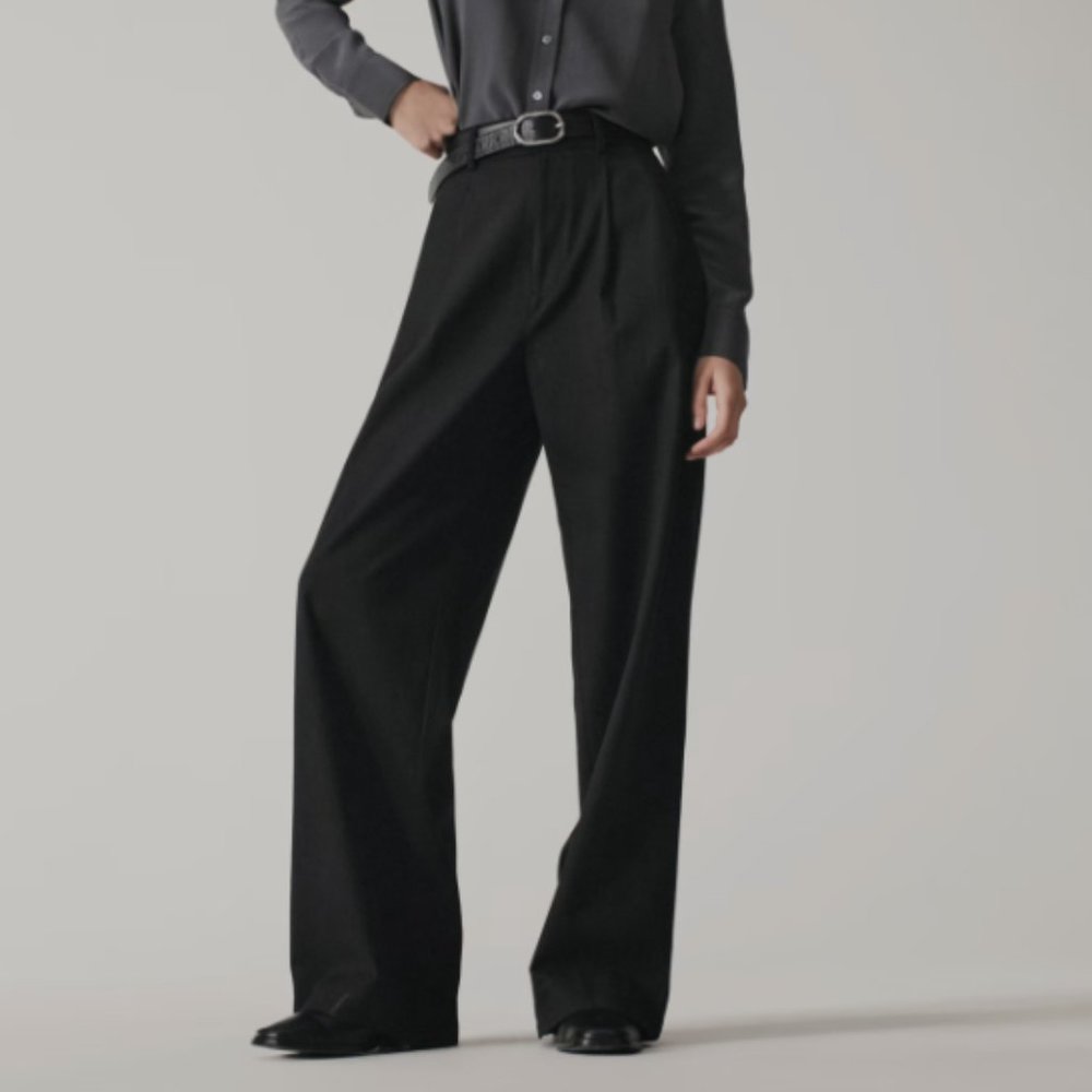 Everlane The Way-High Drape Wide Leg Baggy Pant In Black